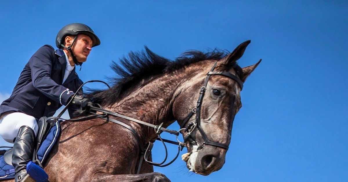 Horse Shows and rodeo protections